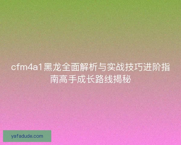 cfm4a1黑龙全面解析与实战技巧进阶指南高手成长路线揭秘