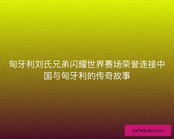 匈牙利刘氏兄弟闪耀世界赛场荣誉连接中国与匈牙利的传奇故事