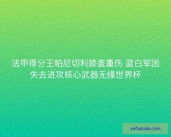 法甲得分王帕尼切利膝盖重伤 蓝白军团失去进攻核心武器无缘世界杯