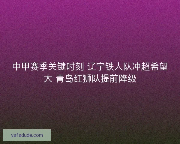 中甲赛季关键时刻 辽宁铁人队冲超希望大 青岛红狮队提前降级